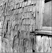 Kentmere 200_06.jpg