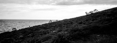 24X65 BW_056.jpg