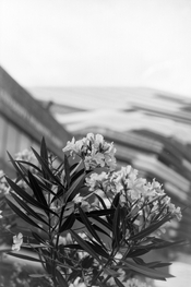 ABC01758_DxO_副本.jpg