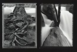 YNP2Polaroids.jpg