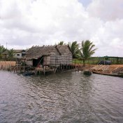 RiverHouse2.jpg