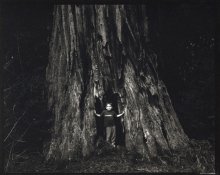 AlexRedwoodPCRSPX-ray.jpg