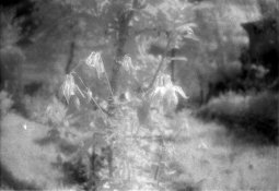 Image8.jpg