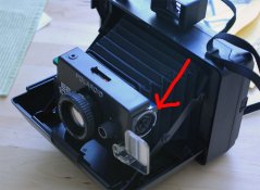 polaroid2.jpg