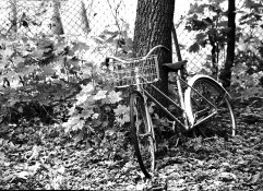 old_bike.jpg