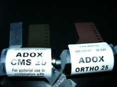 cms-ortho.jpg