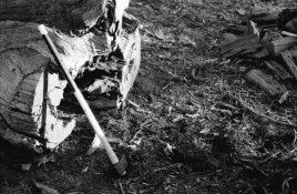 wood_cutting.jpg