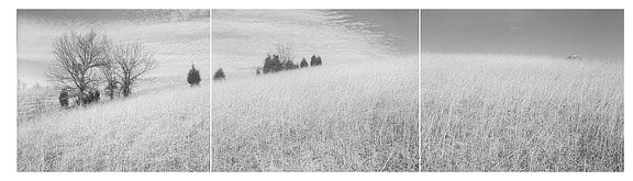 3 White Hills.jpg