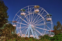 Wheel2.jpg