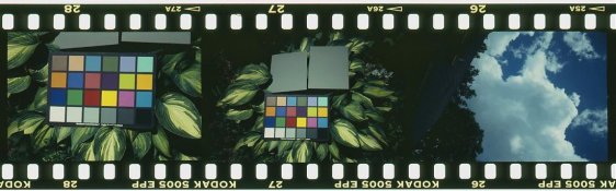 E6019.jpg