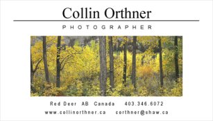 Business-Card-1.jpg