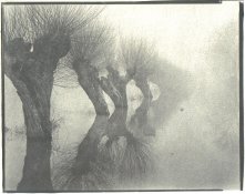 Hochwasser bei Coswig.jpg