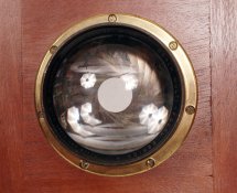 lens3lores.jpg