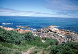 Aussie-Coast.jpg
