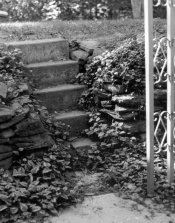 Back Steps small.jpg