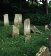 Cemetary-for-Terence.jpg