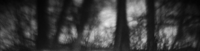 78651976_ed61448f2b_o.jpg