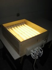 lightbox1.jpg