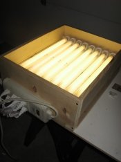 lightbox2.jpg