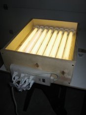 lightbox3.jpg