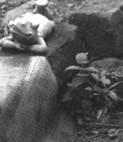mcb detail.jpg