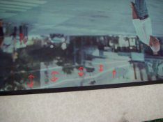 IMGP5411.JPG
