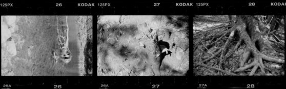 first negs 2.jpg