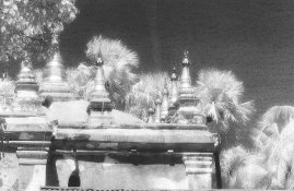 scan0003sm.jpg