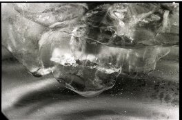 ice2.jpg