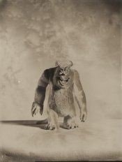 Toy1.jpg