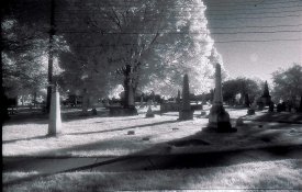 HIE graveyard.jpg