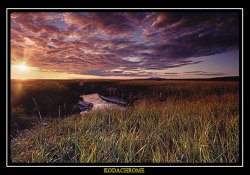 kodachrome.jpg