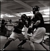 Bengal_Bouts_XVI_by_RoBBoX.jpg