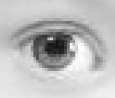 pencilportraiteye.png