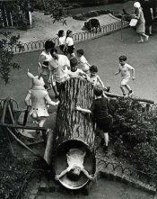 kertesz.jpg