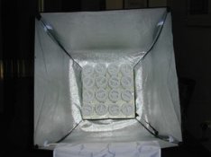 DSCN0047.jpg