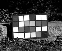 glass plate 3 ISO 40 resize pos scan.jpg