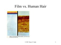 cross section and hair.jpg