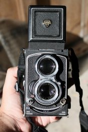 IMG_4899 (Large).JPG