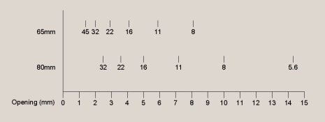 scale2.jpg