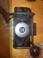 IMG_0379 (Large).JPG
