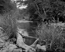 img400.jpg img400.jpg