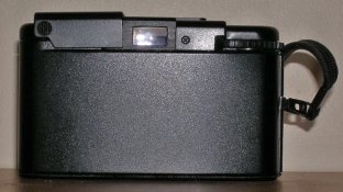 P9046646 web.jpg