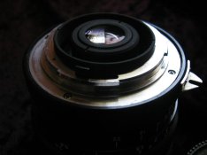 P1010006.JPG