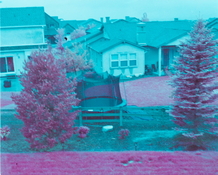 IMG_3036.jpeg