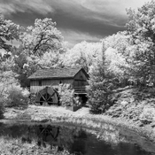BronicaInfrared.jpg