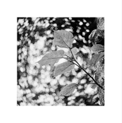 4399im_pic_2025-06-20_11-21-06.png