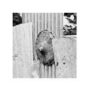 4399im_pic_2025-06-20_11-21-34.png