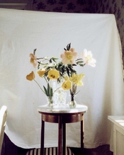 Flowers-orig.jpg