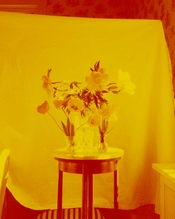 Flowers1.jpg